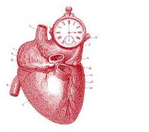 Holter EKG Untuk Pemeriksaan Gangguan Irama Jantung (bag. 1)